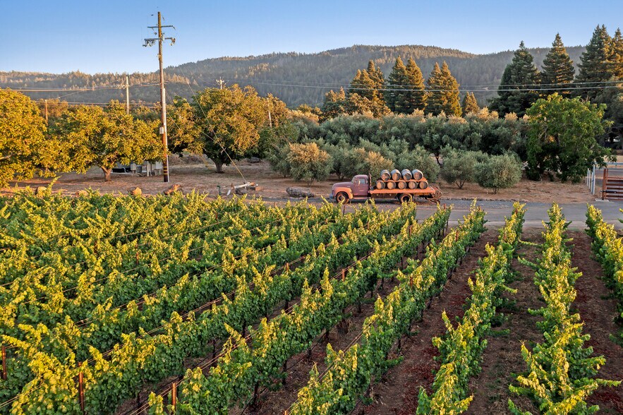 More Photos Of 125 Cristo Ln, Santa Rosa Specialty For Sale