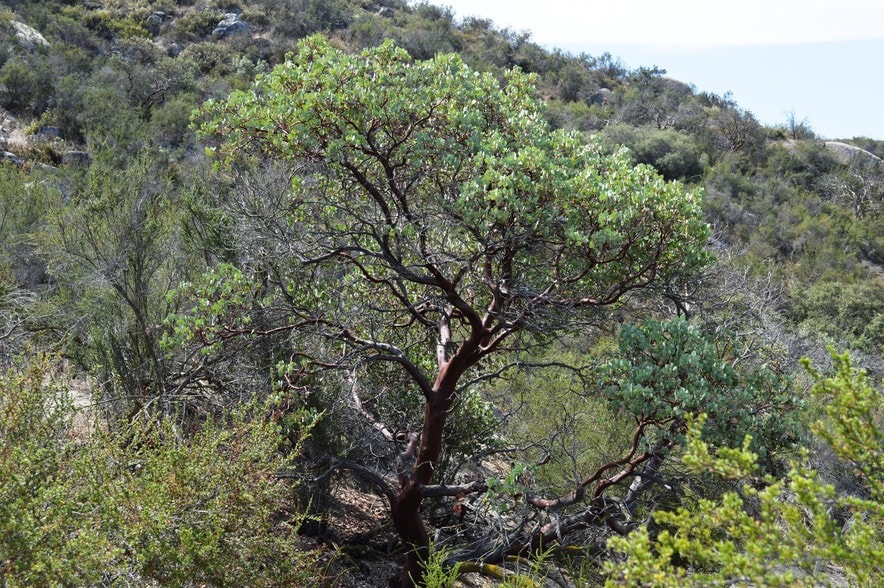 More Photos Of 0 Martin Rd, Hemet Land For Sale