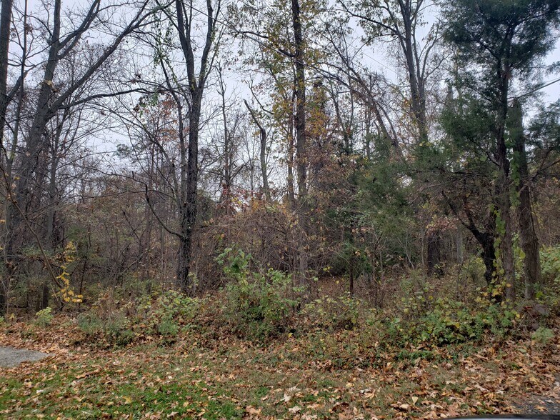 More Photos Of 4214 Pine Ln, Alexandria Land For Sale