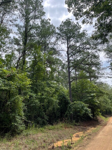 More Photos Of 17796 Dry Branch loop, Northport Land For Sale