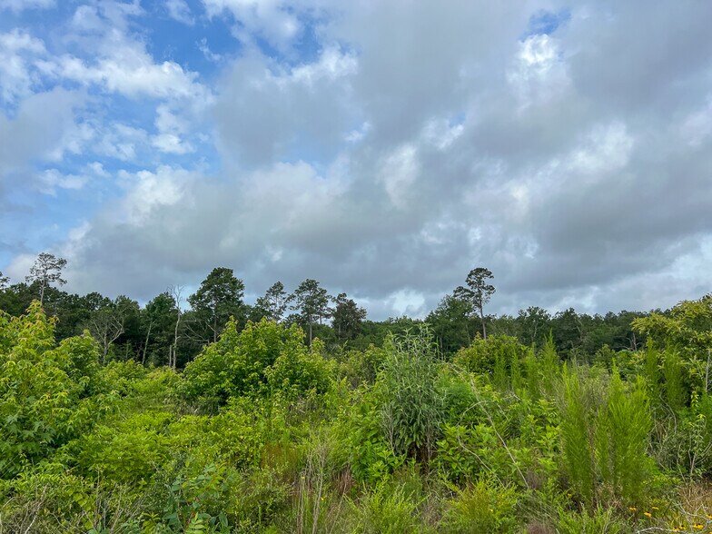 More Photos Of Farm to Market Road 1725, Willis Land For Sale