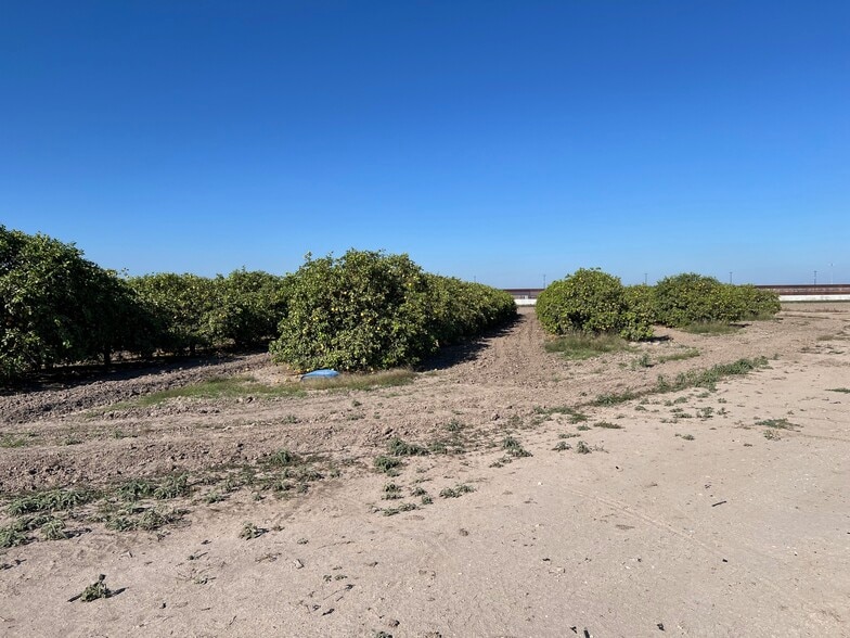 More Photos Of 424.43 Acs on E. Side of Pharr Intl. Bridge, Pharr Land For Sale