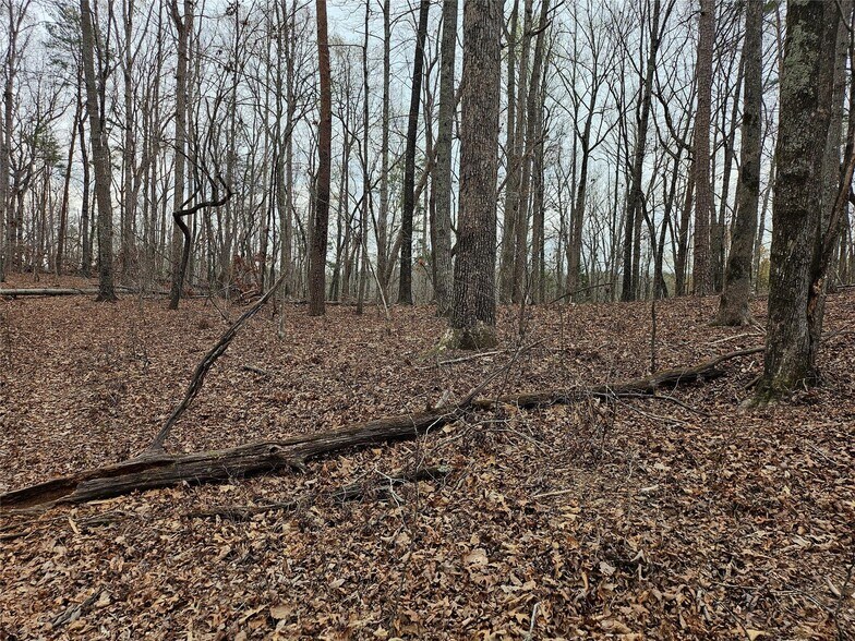 Primary Photo Of 000 Weaver Mill Road, Columbus Land For Sale