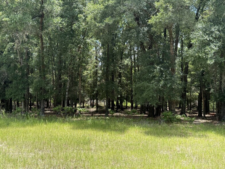 More Photos Of NW 27th St, Dunnellon Land For Sale