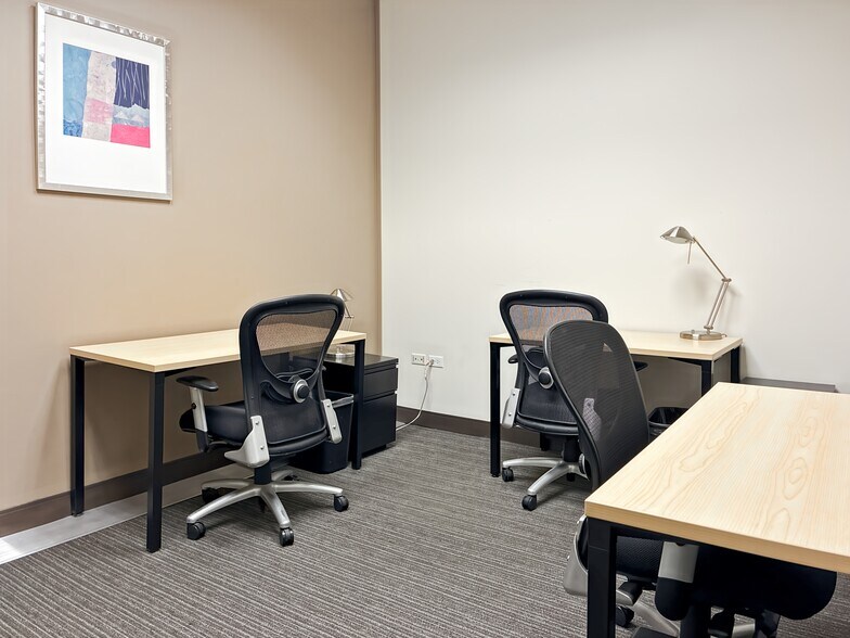 More Photos Of 51-181 S 1st St, St Charles Coworking Space