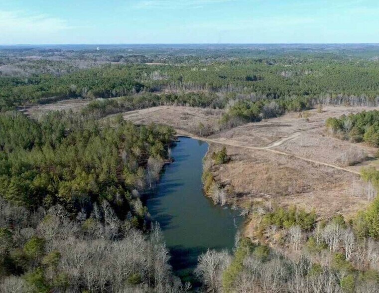 More Photos Of 0 AL 13, Nauvoo Land For Sale