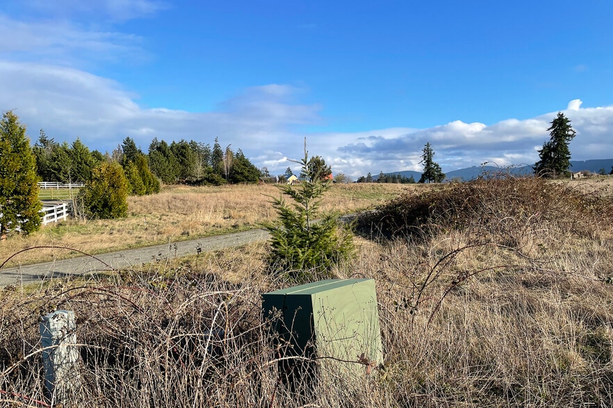 More Photos Of 336 Bell Bottom Rd, Sequim Land For Sale