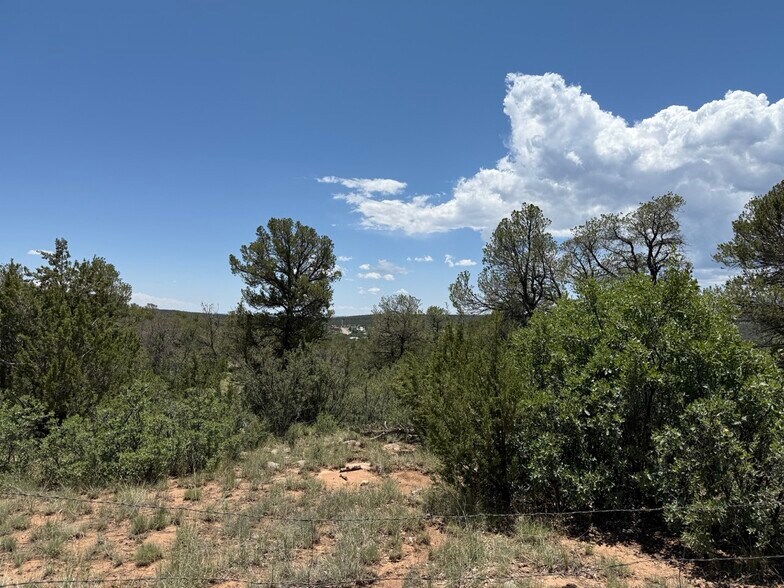 More Photos Of 44 Forest 321 Rd, Estancia Land For Sale