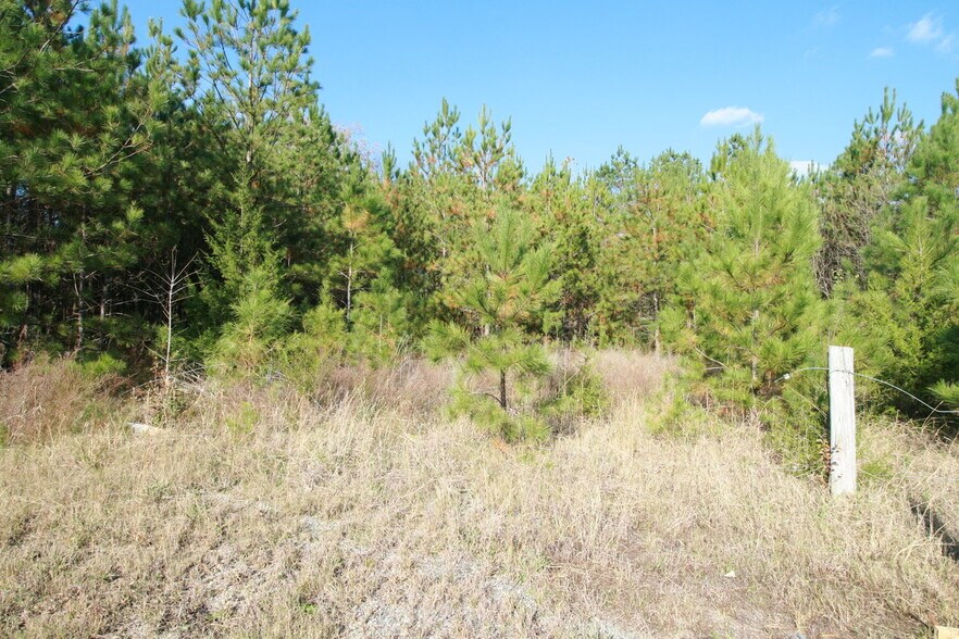 More Photos Of 0 Highway 41, Ringgold Land For Sale