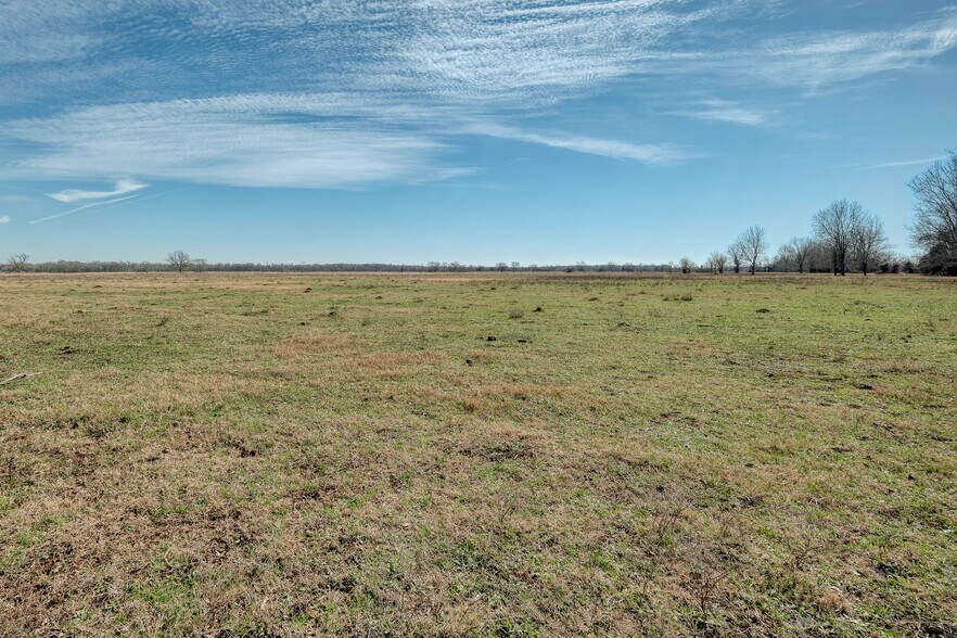 More Photos Of 42919 Addie Gee rd, Hempstead Land For Sale