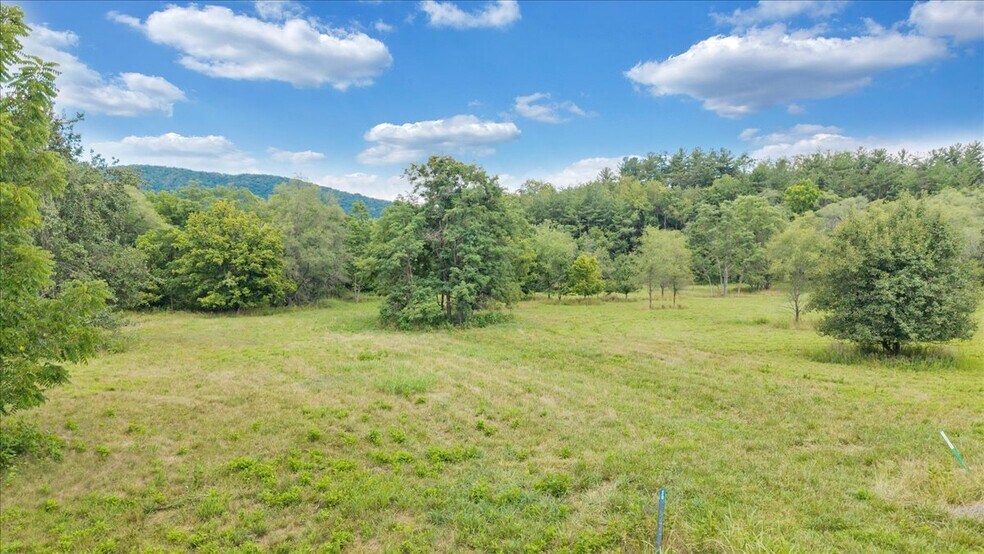 More Photos Of 0 Challenger Ave, Roanoke Land For Sale