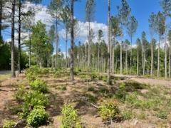 More Photos Of TBD Courthouse Rd, Sutherland Land For Sale