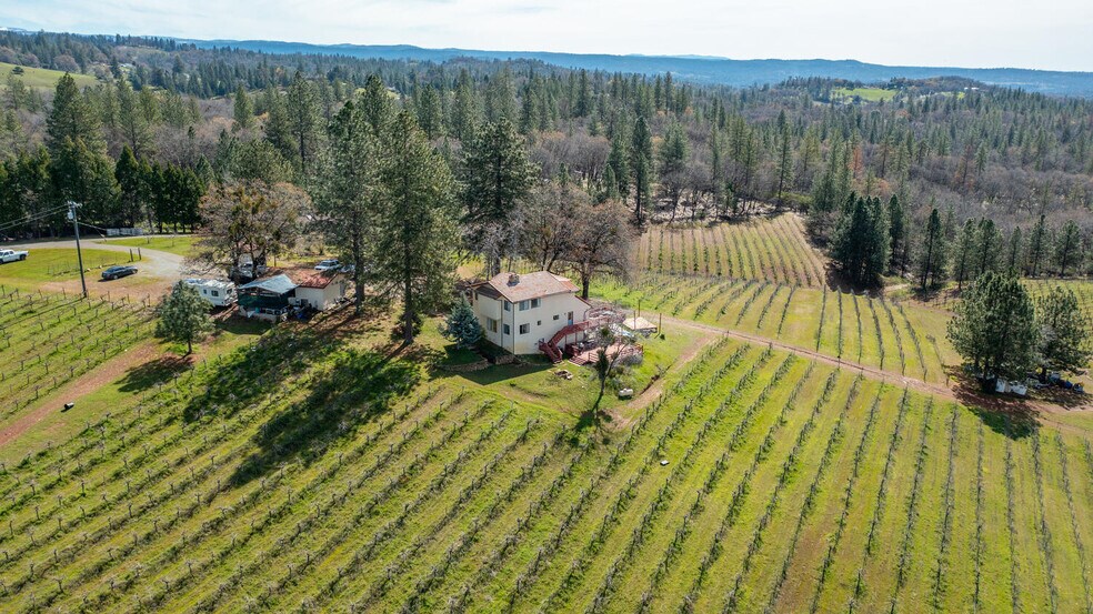 More Photos Of 4771 Greenhills Rd, Placerville Winery Vineyard For Sale