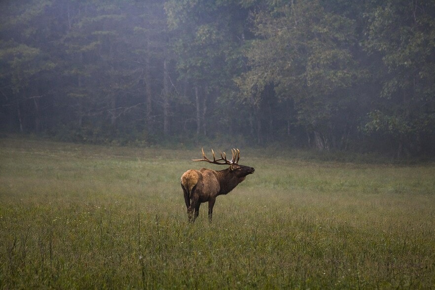 More Photos Of 9400 US-19 W, Bryson City Hotel For Sale