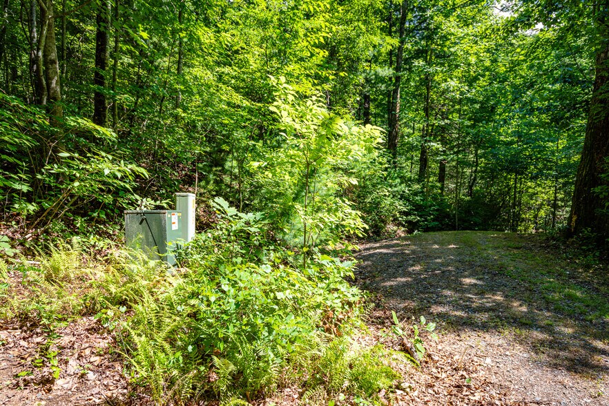 More Photos Of Mountain Cove Estates Rd, Cherry Log Land For Sale
