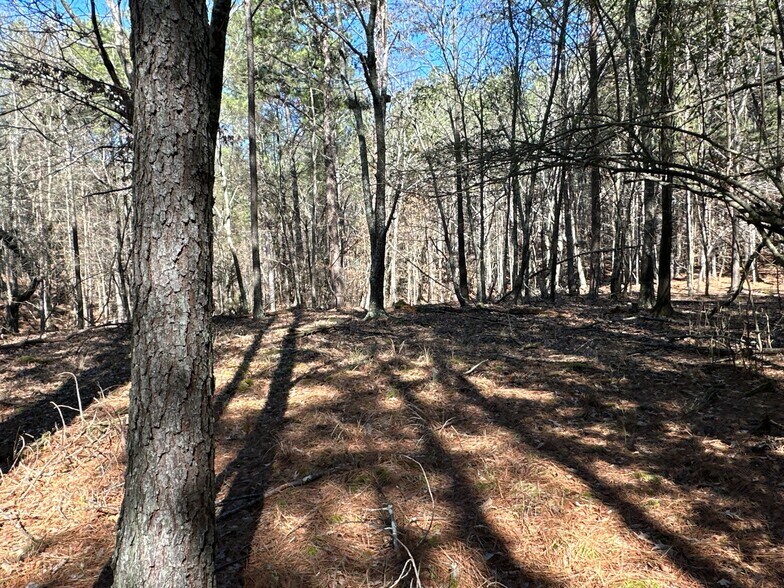 More Photos Of 3472 Prior Station Rd, Cedartown Land For Sale