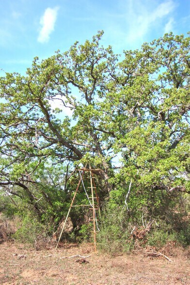 More Photos Of FM 574, Goldthwaite Land For Sale