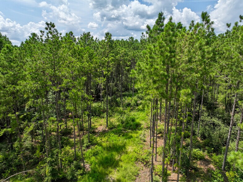 More Photos Of 0 Slim Palmer Road, Zavalla Land For Sale