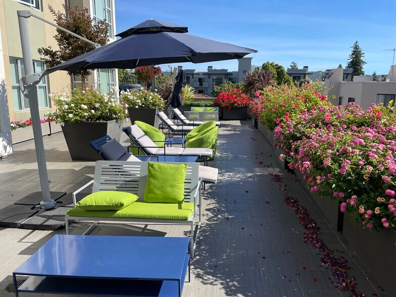 More Photos Of 234 7th Ave, San Mateo Apartments For Lease