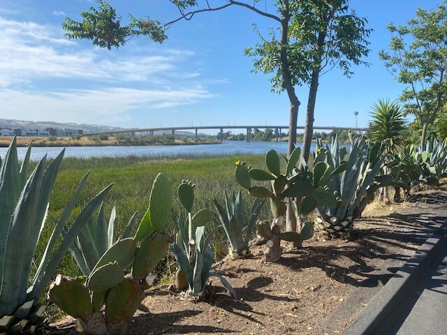 More Photos Of 68 S Coombs St, Napa Unknown For Lease