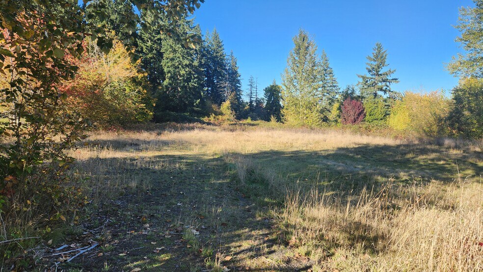 More Photos Of 202 NW 179th St, Ridgefield Land For Sale