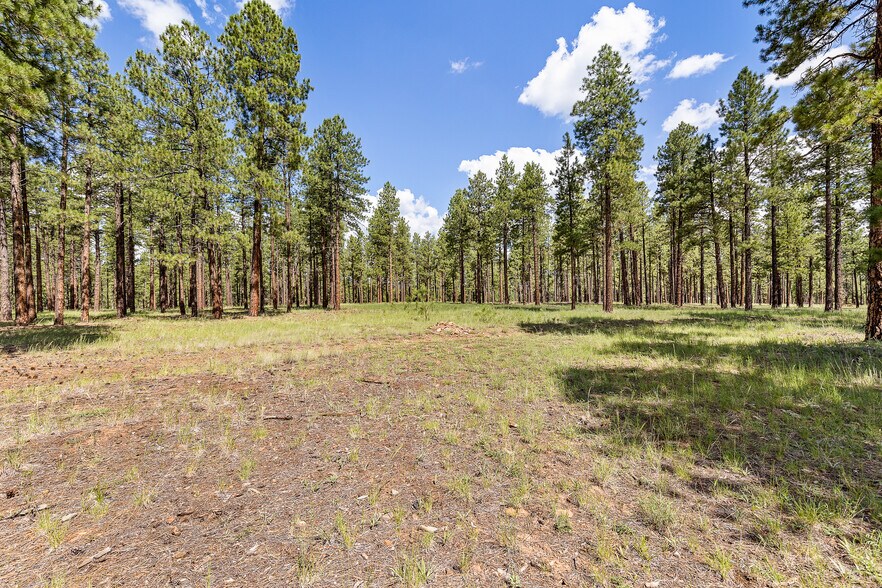 More Photos Of 2251 Kramer St, Flagstaff Land For Sale