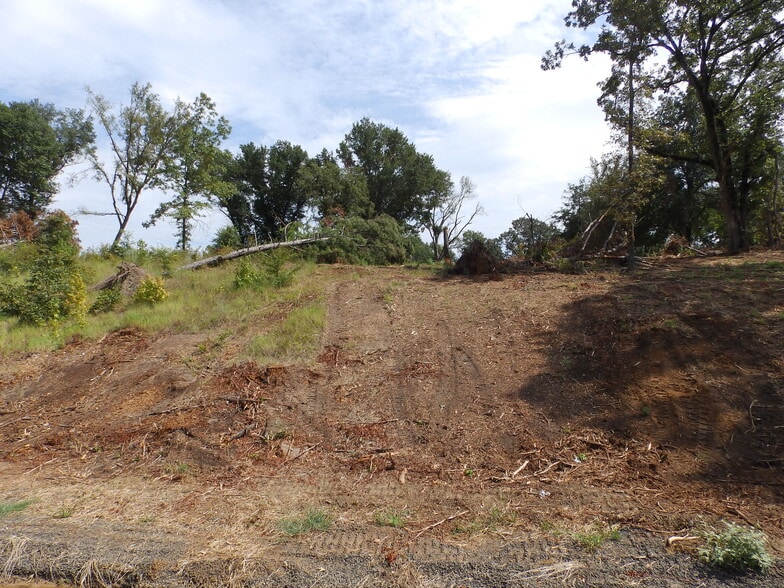 More Photos Of 16393 Highway 31, Tyler Land For Sale