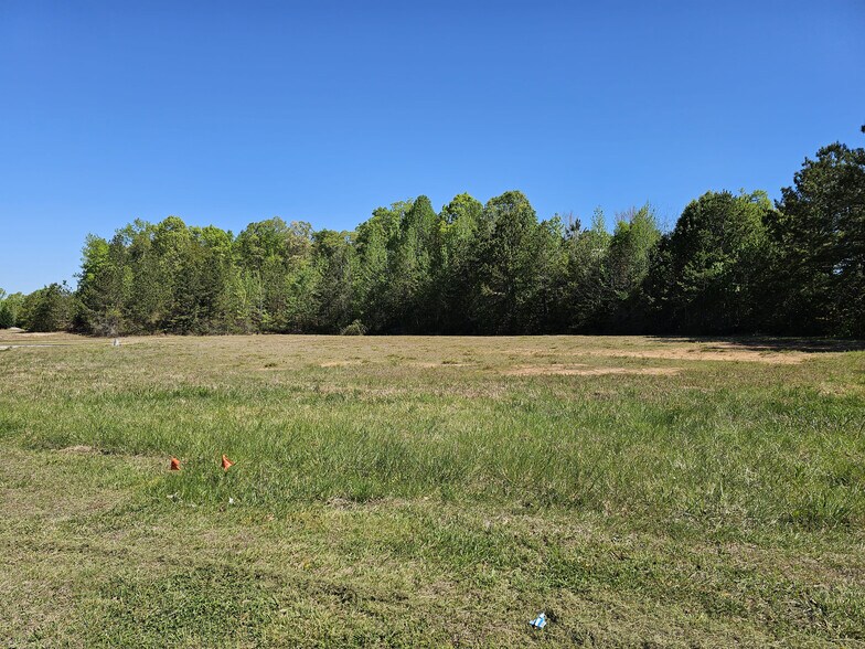 More Photos Of 4110 Commerce St, Flowery Branch Land For Sale