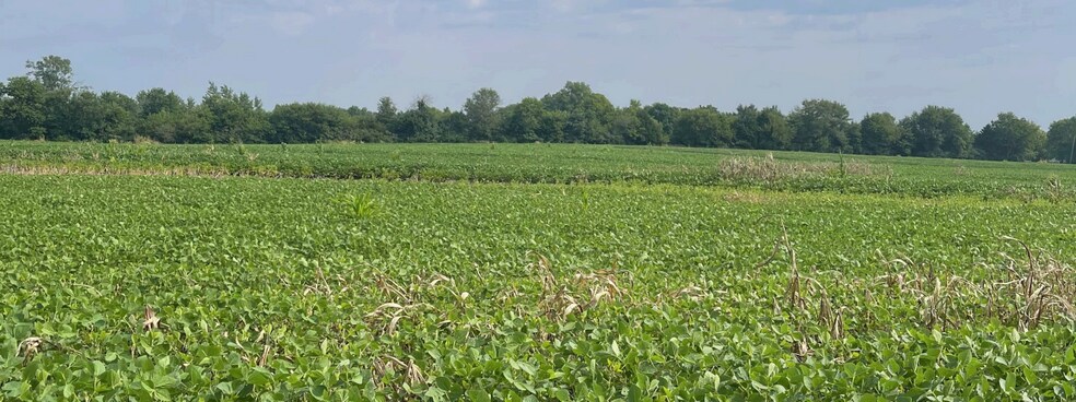 Primary Photo Of 219th Nall Rd, Bucyrus Land For Sale