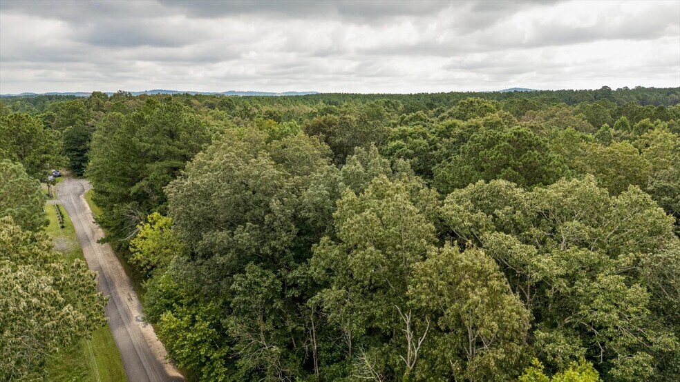 More Photos Of 0 Poindexter SE Dr, Cleveland Land For Sale