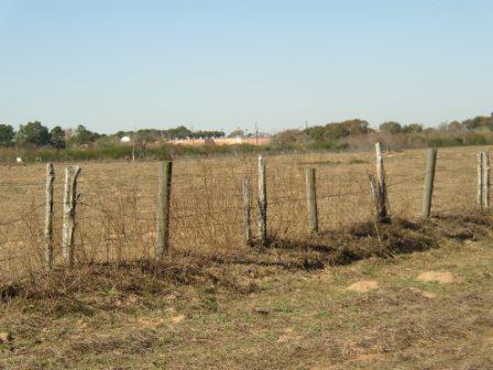 More Photos Of 1966 Hluchan Rd, Sealy Land For Sale