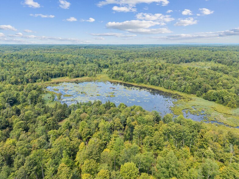 More Photos Of 0 County 11 Rt, West Monroe Land For Sale