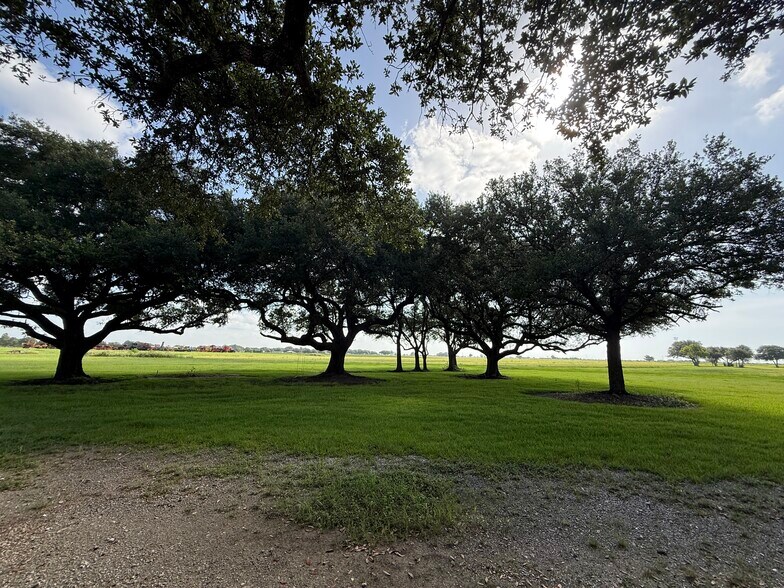 More Photos Of 525 Olede Devillier Road, Winnie Land For Sale