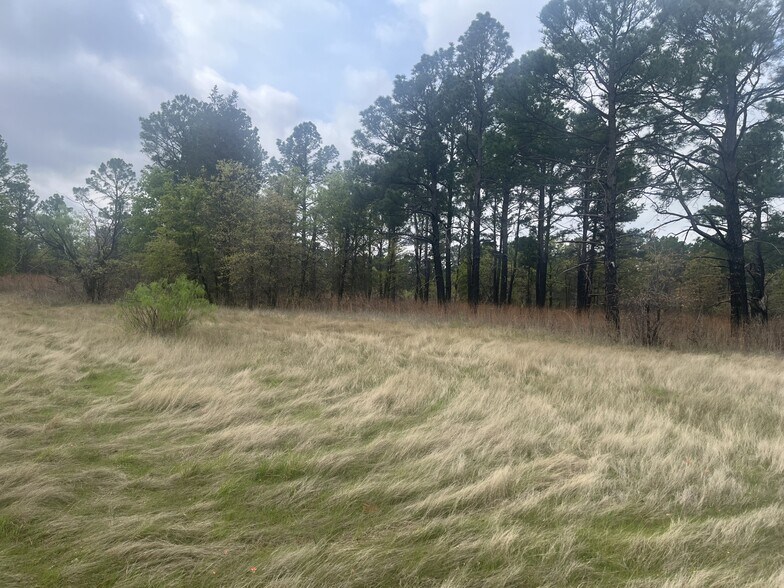 More Photos Of 2548 County Road 2690, Alvord Land For Sale