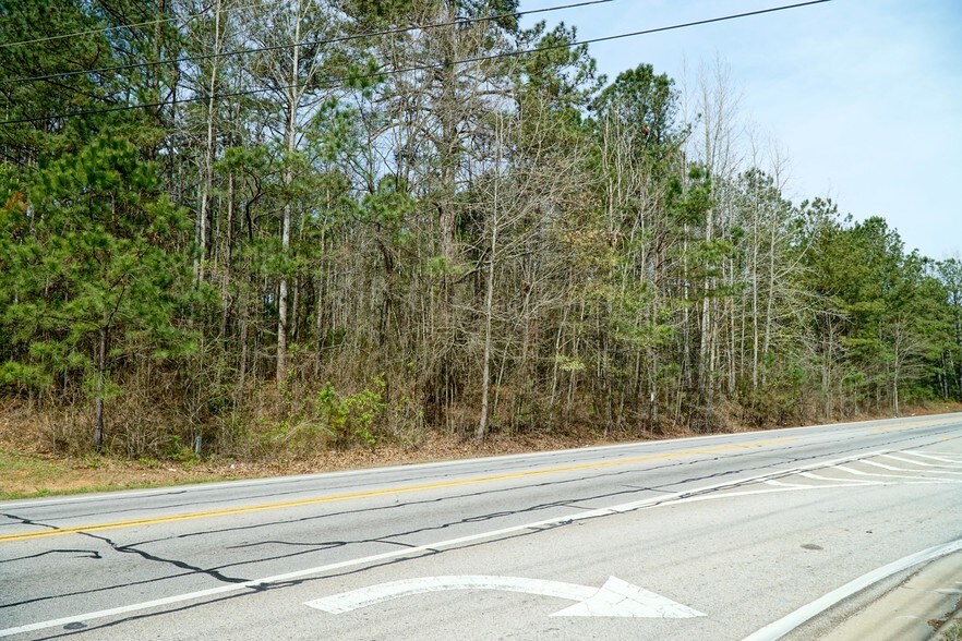 More Photos Of 0 N HIGHWAY 42, Stockbridge Land For Sale