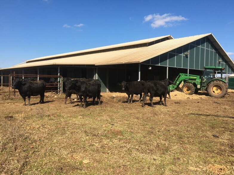 More Photos Of 16419 Majestic Oaks dr, Rosharon Land For Sale