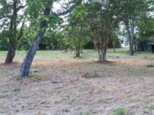 More Photos Of 200 Woodson st, Willis Land For Sale