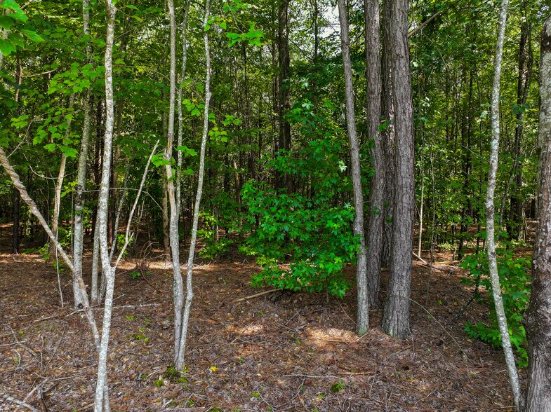 More Photos Of 0 Magness Rd, Shelby Land For Sale
