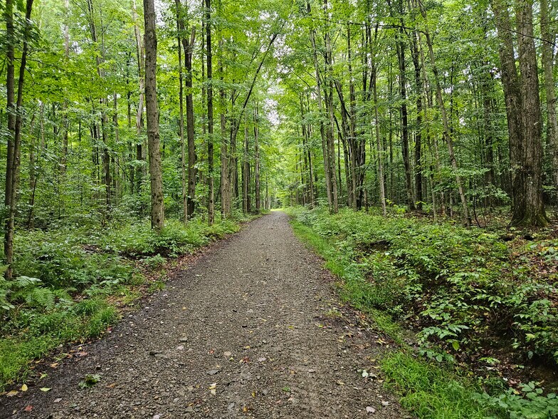 More Photos Of 3922 Kortwright Rd, Jamestown Warehouse For Sale