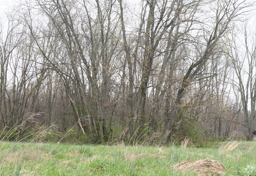 More Photos Of 3022 Churchville Rd, Churchville Land For Lease