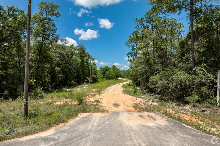 More Photos Of , Defuniak Springs Land For Sale