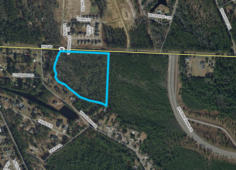 Primary Photo Of TBD Hwy 90, Conway Land For Sale