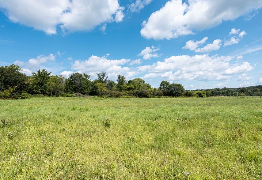 Primary Photo Of route 5, Canastota Land For Sale