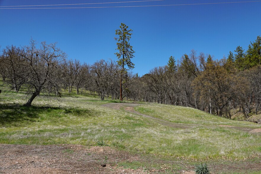 More Photos Of 13317 McAdams Creek Rd, Fort Jones Land For Sale
