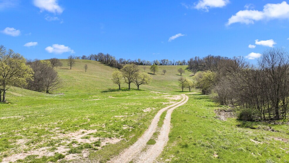 More Photos Of 0 McLaughlin Rd, Shelbyville Land For Sale
