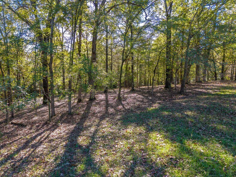 More Photos Of 633 MS-6 Hwy, Oxford Land For Sale