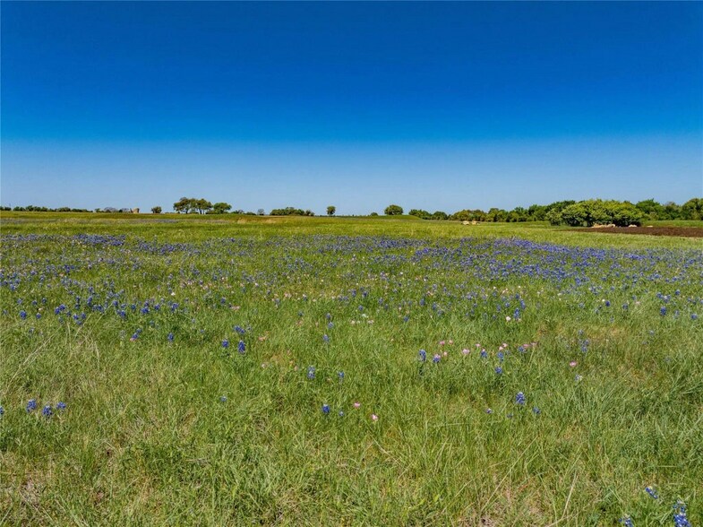 More Photos Of TBD Farm to Market Road 1291, Round Top Land For Sale