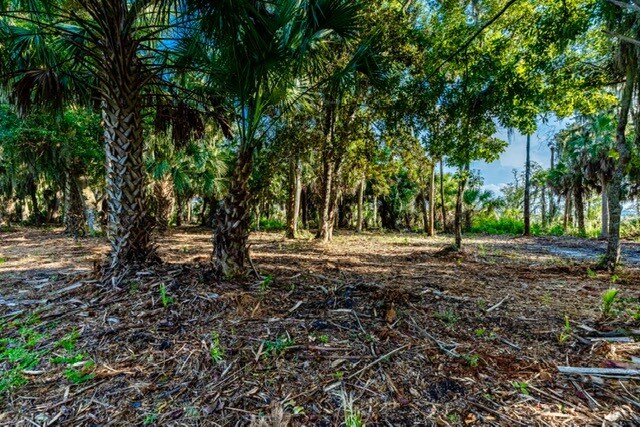 More Photos Of 3390 State Road A1A, Jacksonville Land For Sale