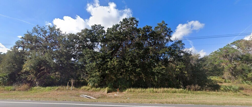 More Photos Of 3686 N Hwy 301, Wildwood Land For Sale
