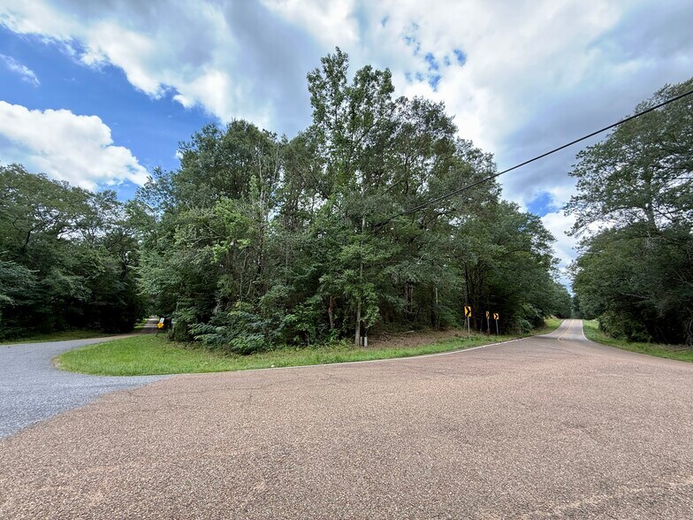 More Photos Of 2194 MS-570, Summit Land For Sale